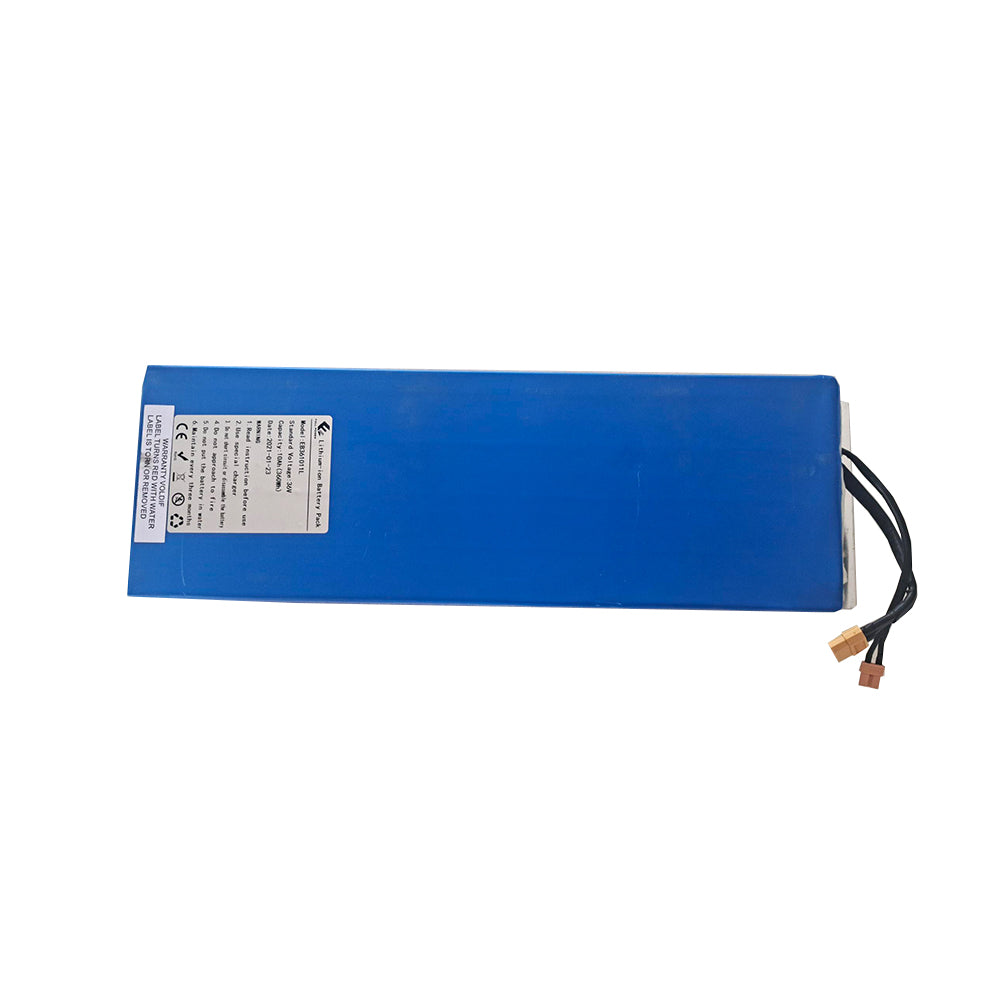 S006 Battery