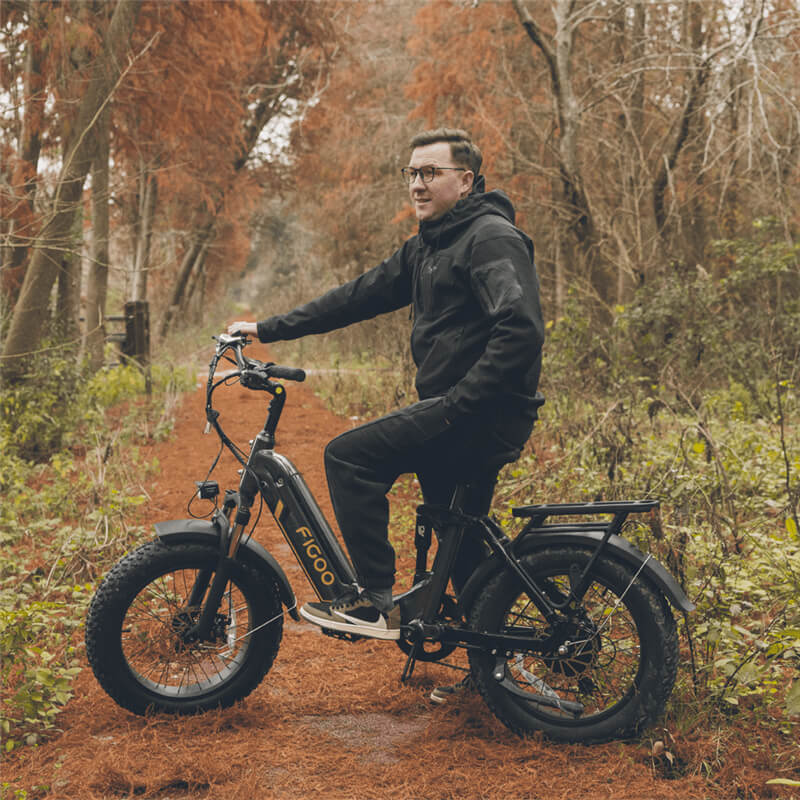 foldable electric bike adults URBAN DRIFT figoo S2 